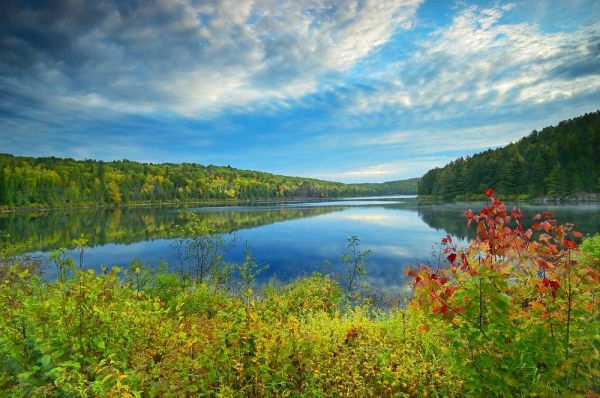Canada, Algonquin PP Landscape of Costello Lake